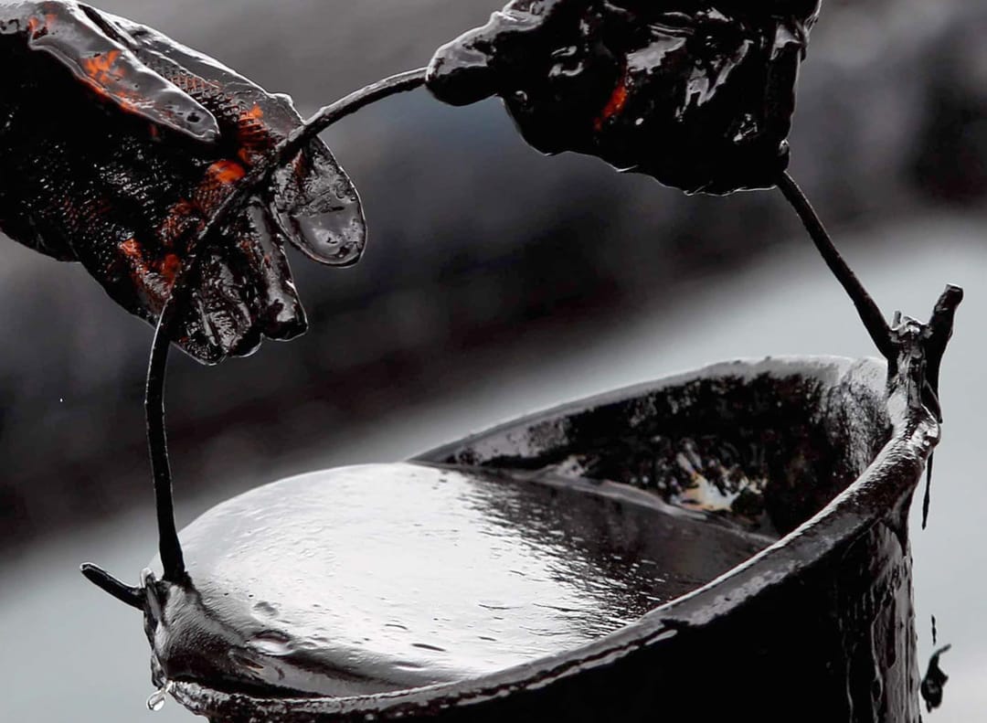 2023-nji ýylda çig mal gymmatlar