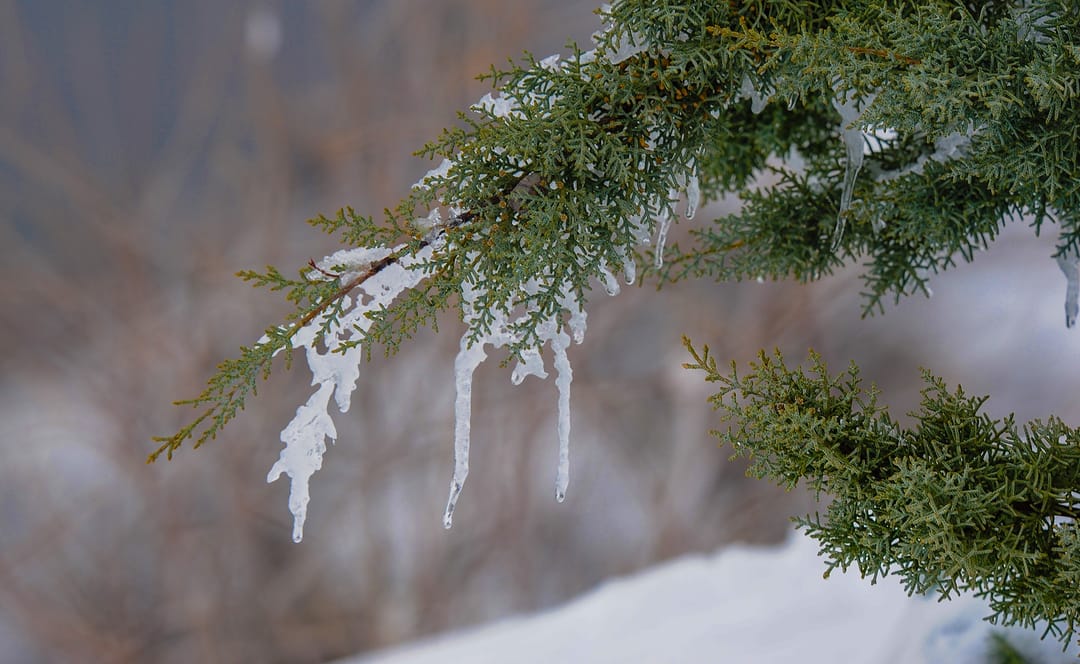 Sleet and rain expected in Ashgabat this weekend