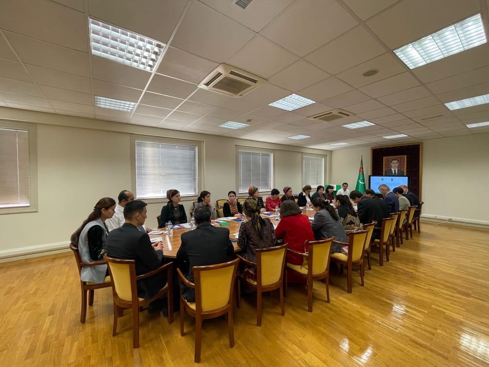 Turkmenistan got acquainted with international experience in implementing SDG16