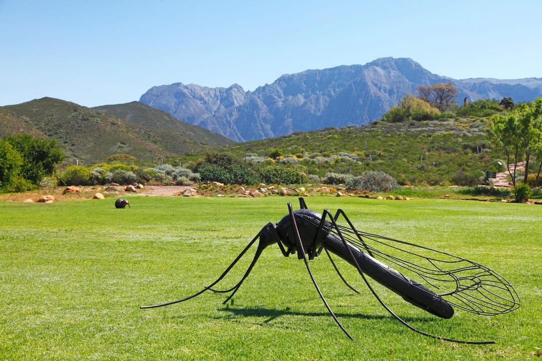 Mosquito control app developed