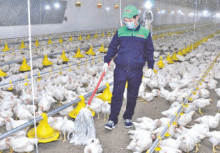 Птицеводческая отрасль Туркменистана пополнилась новым комплексом