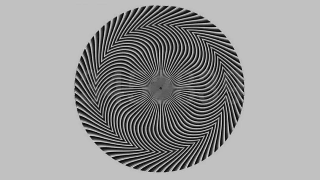 Strange black and white swirl optical illusion sparks controversy on social media