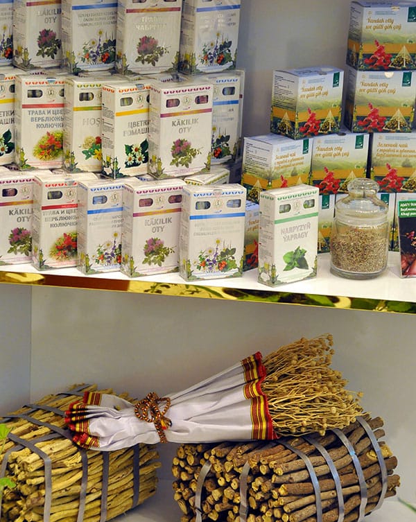 Лекарственные растения дикорастущих видов туркменской флоры благотворно влияют на здоровье человека 