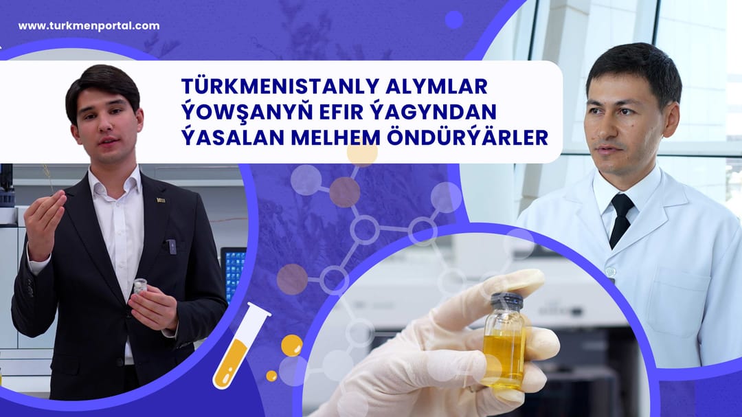 Türkmen bilim insanları, pelin esansiyel yağından merhem üretmeyi başardı