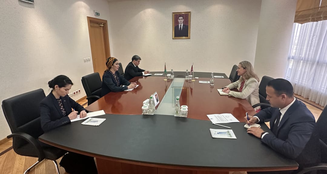 Turkmenistan and Great Britain discussed issues of cooperation in trade, culture, education and medicine