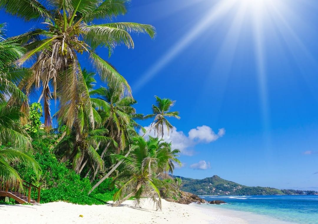 2024-nji ýylyň tomsy çakdanaşa yssy bolar diýlip garaşylýar