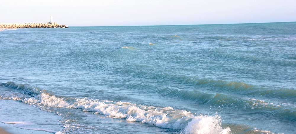 Туркменистан принял участие в 33-й сессии МОК ЮНЕСКО