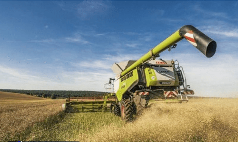 Lebap welaýatynda şaly oragyna girişildi