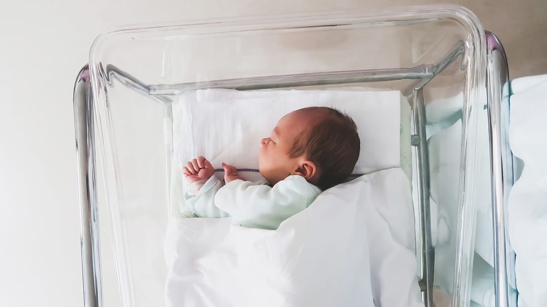 Täze doglan bäbege ChatGPT neýroulgamyň hormatyna at dakdylar