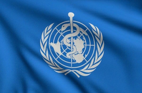 WHO expert mission to Turkmenistan completed