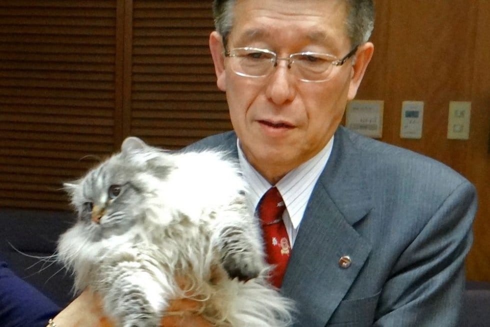 Rusya Devlet Başkanı Vladimir Putin'in, Japonya'nın kuzeydoğusundaki Akita eyaleti valisine hediye ettiği kedi "Mir" hayatını kaybetti