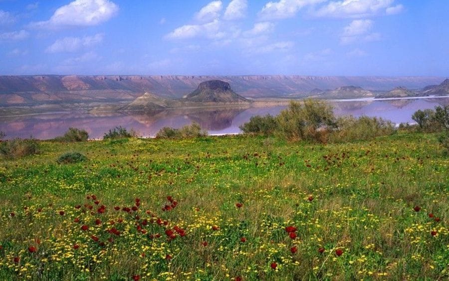 В Туркменистане продвигают экотуризм