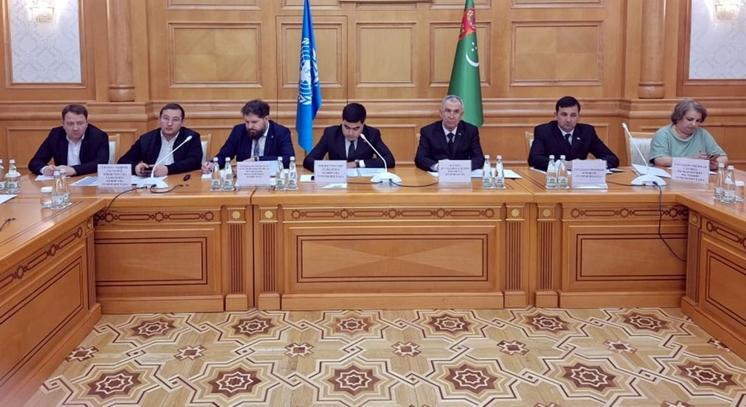 Новые проекты по защите зерновых и хлопчатника запущены в Туркменистане 