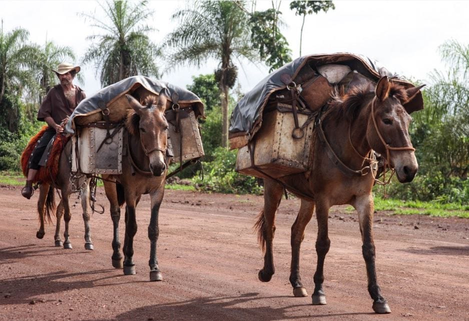 Italiýanyň bu şäherinde zibil daşamak üçin adaty bolmak ulagdan peýdalanylýar