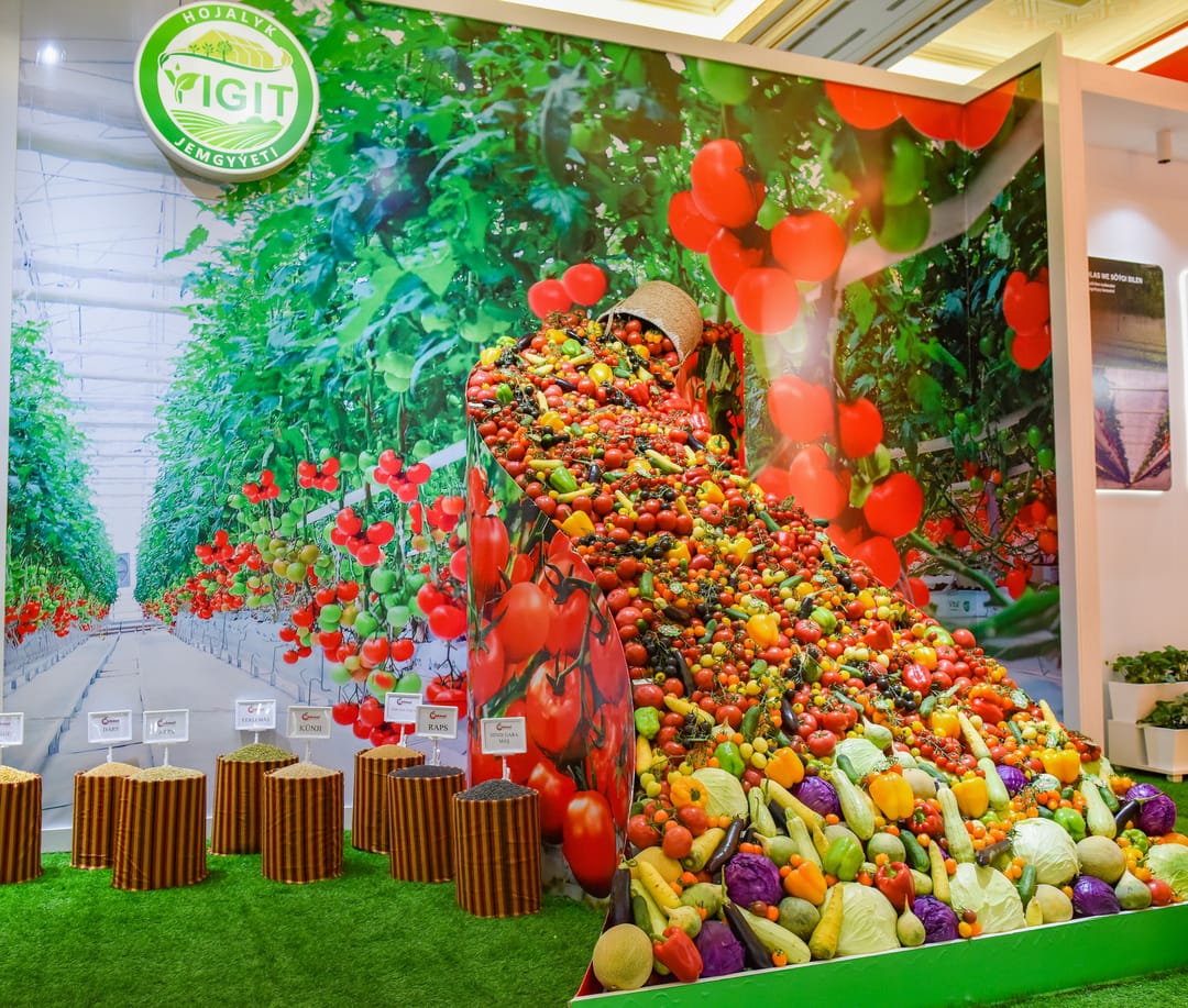 Aşgabatda TSTB-niň 17 ýyllygyna bagyşlanan sergi açyldy