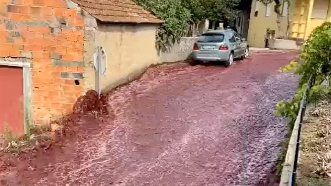 Portugaliýada köçeden çakyr derýa bolup akdy