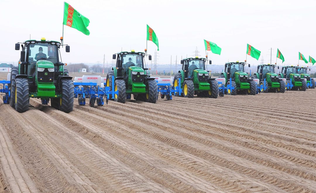 Daşoguz welaýatynyň daýhanlary gowaça ekişine girişdiler