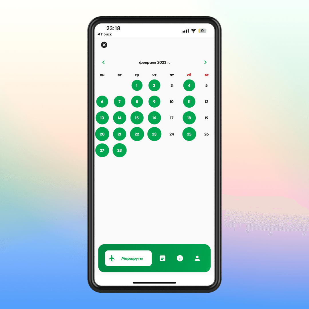 In the Turkmenistan Airlines application, the possibility to view the list of available air tickets is available 