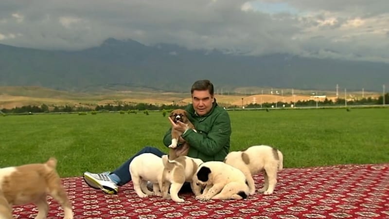IIC of Turkmenistan presented a TV program dedicated to the Alabay