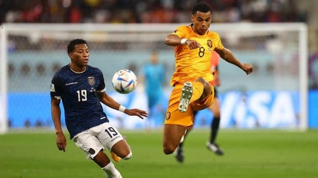 Нидерланды и Эквадор сыграли вничью на ЧМ-2022