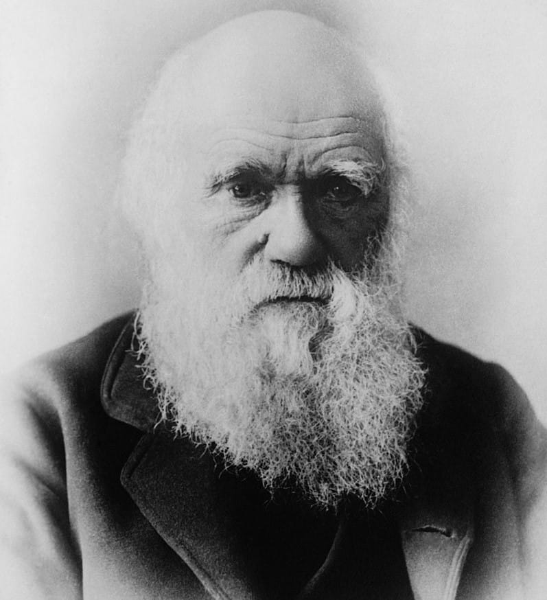 Исследователи воссоздали библиотеку Чарльза Дарвина