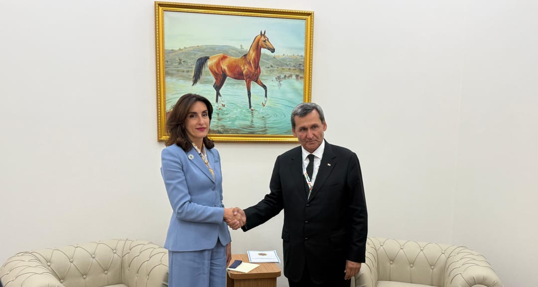 Türkmenistanyň daşary işler ministri gruziýaly kärdeşi bilen duşuşdy