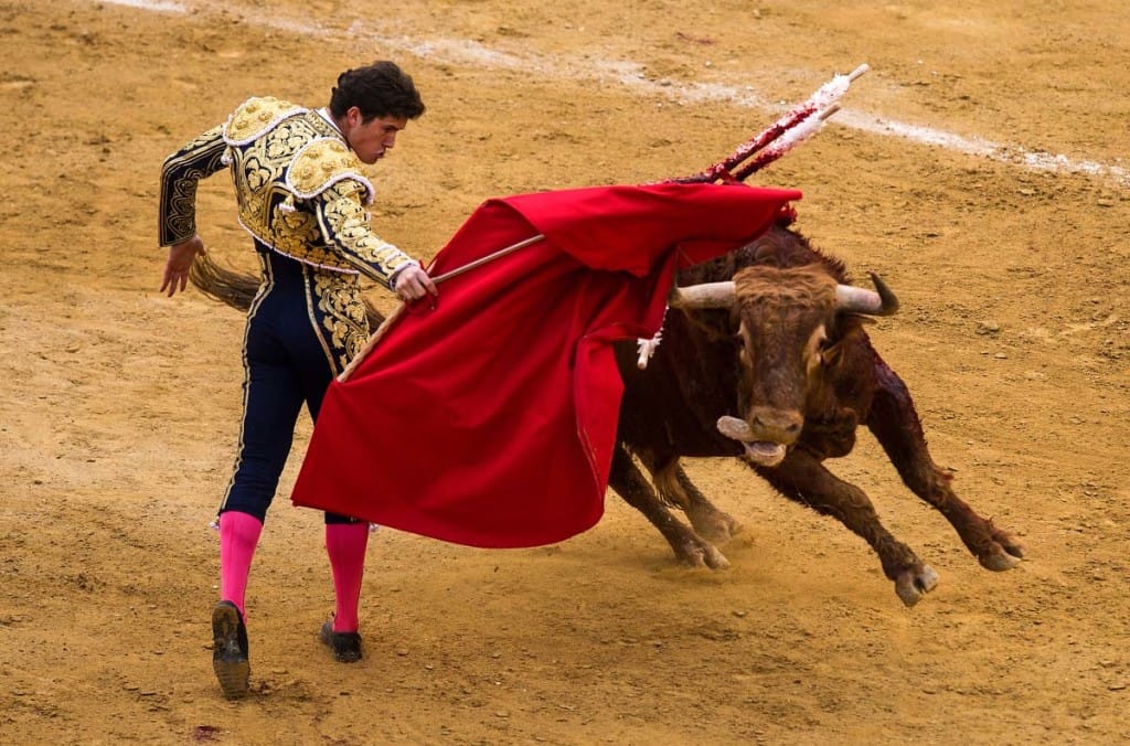 Kolumbiýanyň Prezidenti öküz uruşdyrmagy gadagan etmäge çagyrdy