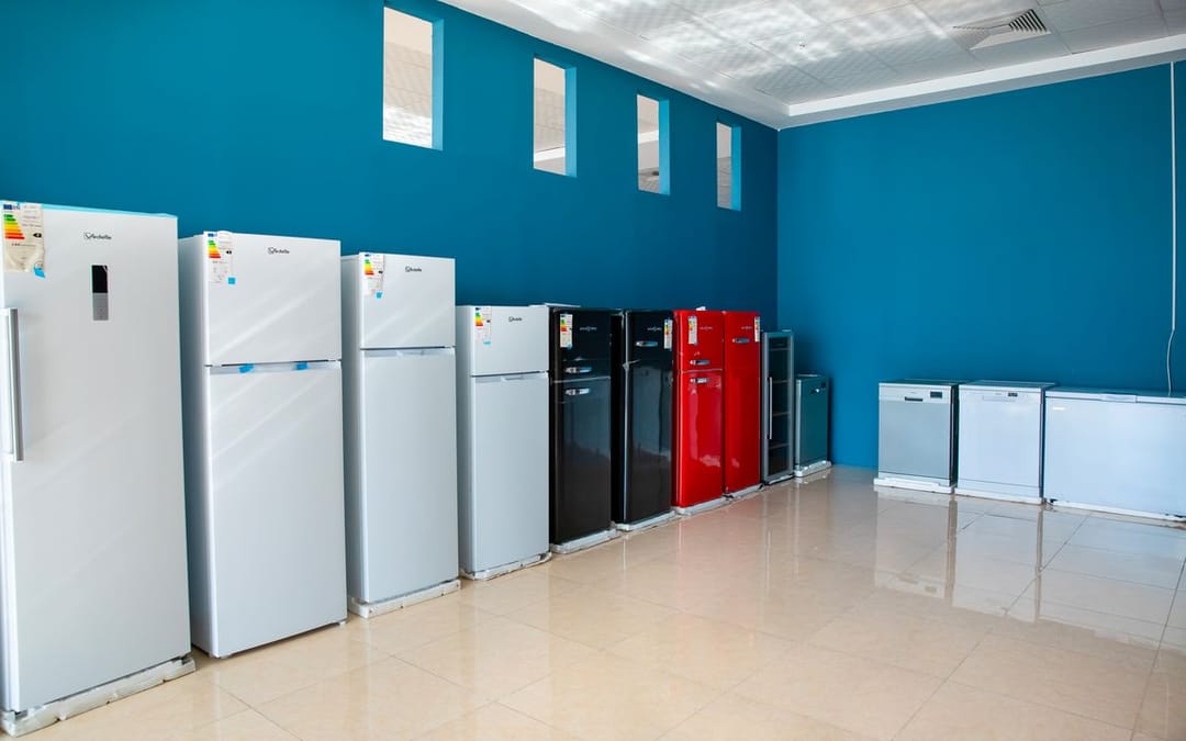 EuroHome TM предлагает широкий выбор надежных холодильников от европейских брендов