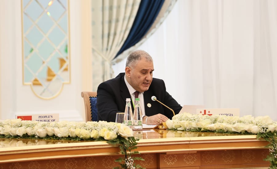 Aşgabat we Tblisi çagalaryň saglygy ugrundaky hyzmatdaşlygy pugtalandyrýar