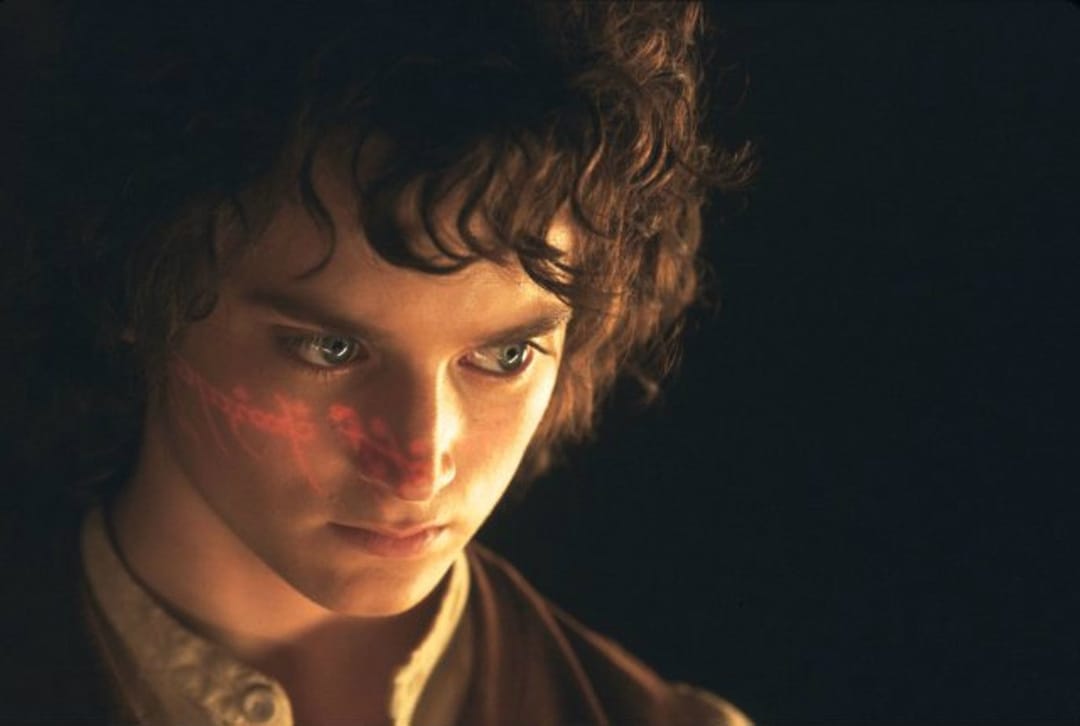 New species of African catfish named after Lord of the Rings hero Frodo Baggins