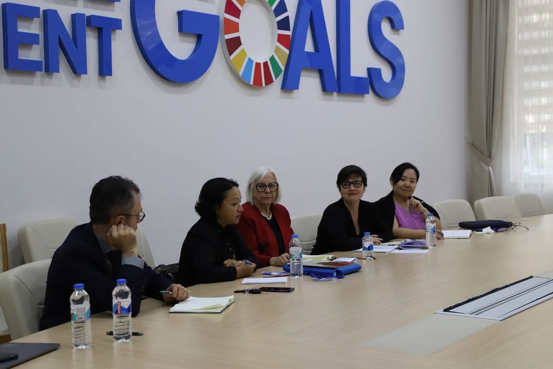 The Capacity Assessment of the Ombudsperson’s Office of Turkmenistan was held