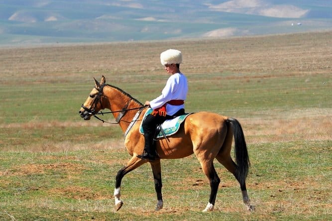 Stabilization Fund of Turkmenistan will allocate funds for the development of horse breeding