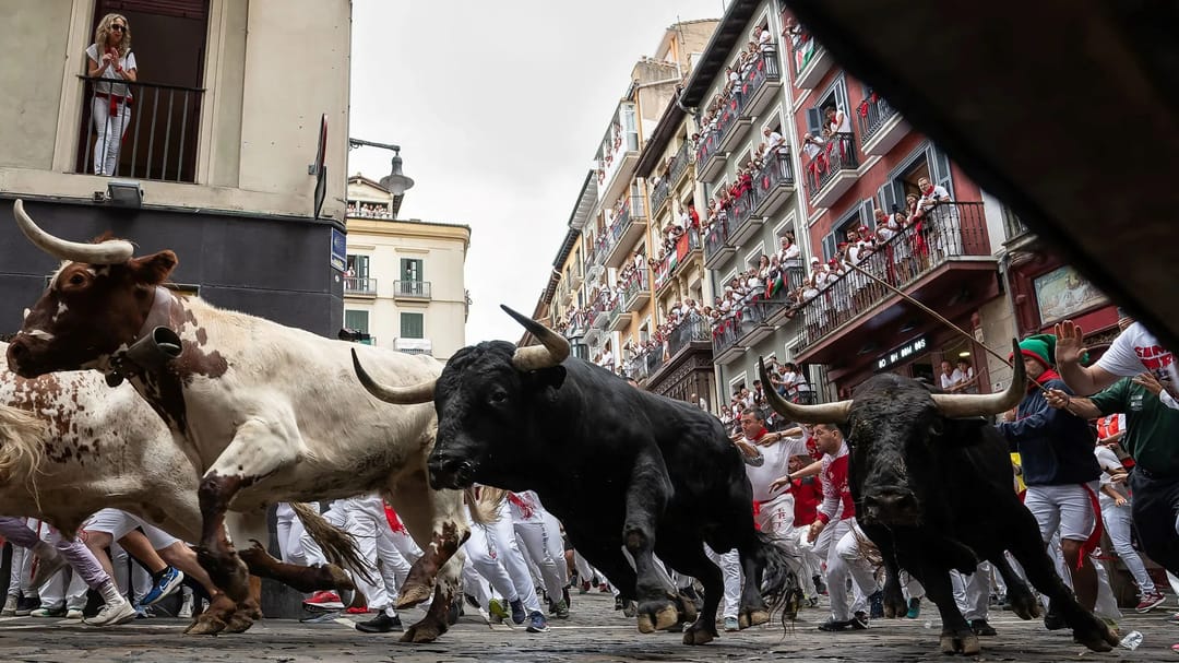 İspanya’daki boğa koşusunda 1 kişi boynuzlandı, 7 kişi de hafif yaralandı