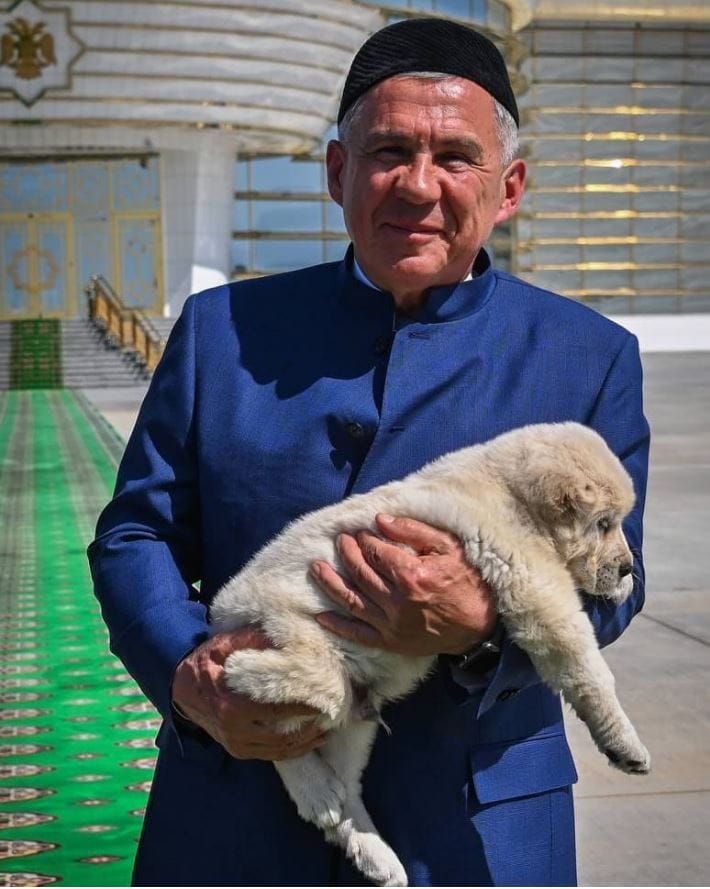Бердымухамедов подарил Президенту Татарстана щенка алабая