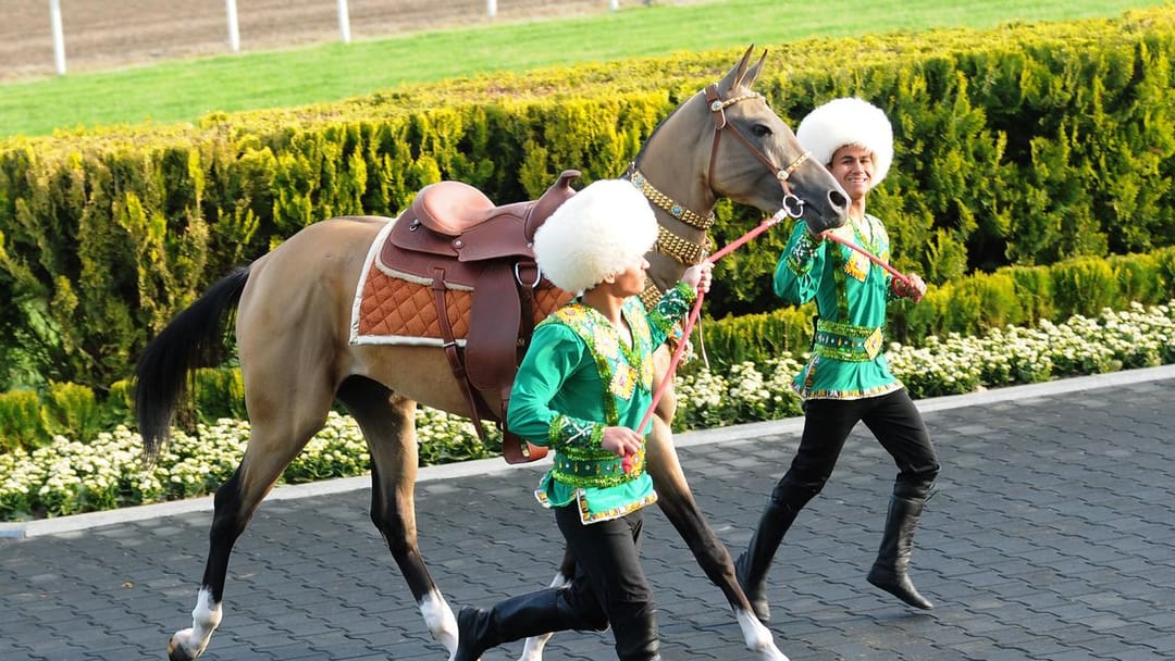 Лучшие коневоды в Туркменистане удостоятся призов на празднике скакуна