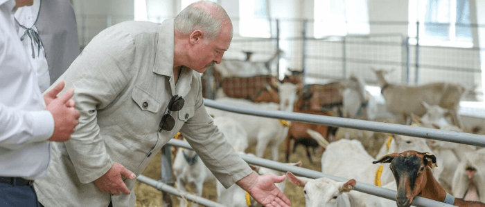 Belarusuň Prezidentine geçi sowgat berdiler