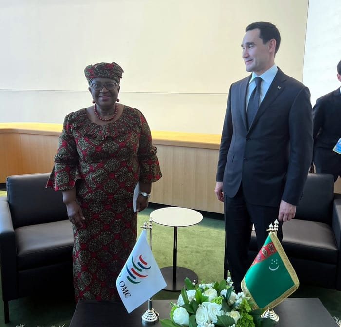The President of Turkmenistan and the Director General of the WTO discussed prospects for cooperation