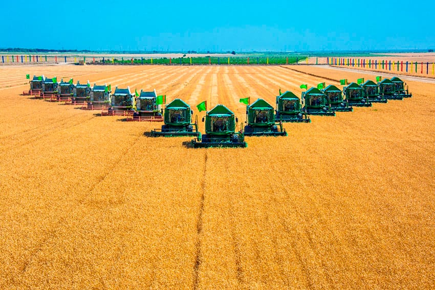 Lebaply daýhanlar galla oragyna taýýarlanýar 
