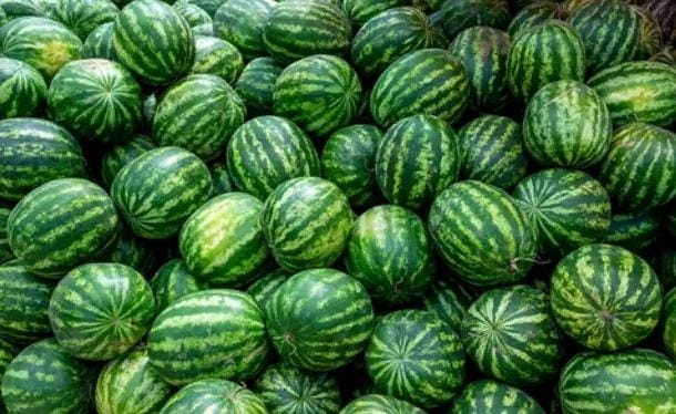 Из Туркменистана в Россию морским путём доставлено 23,2 тонны арбузов 
