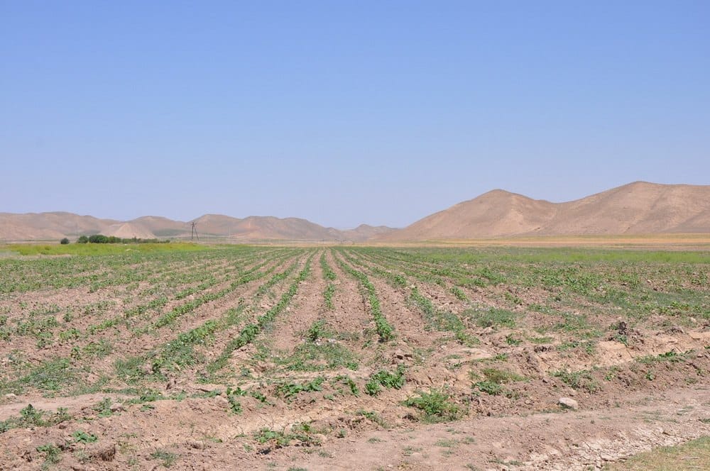 Построенный в Туркменистане самотечный водовод Хиваабад-Кака улучшил качество жизни людей
