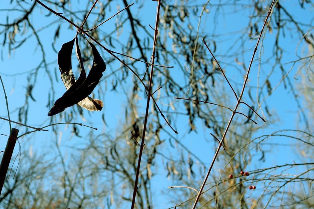 Aşgabat soňky 131 ýylyň içinde iň gyzgyn oktýabry başdan geçirýär