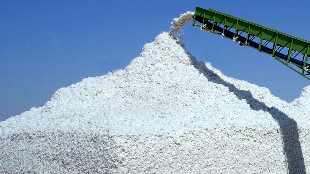 В Туркменистане выполнили план по сбору 1 миллиона 250 тысяч тонн хлопка