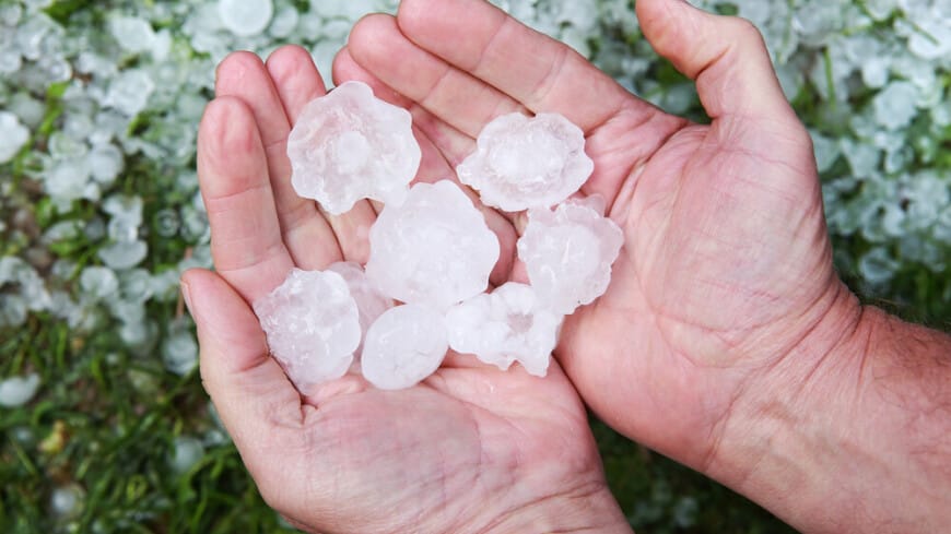 Pakistanda güýçli doly guşlary gyrdy, hasyly ýok etdi