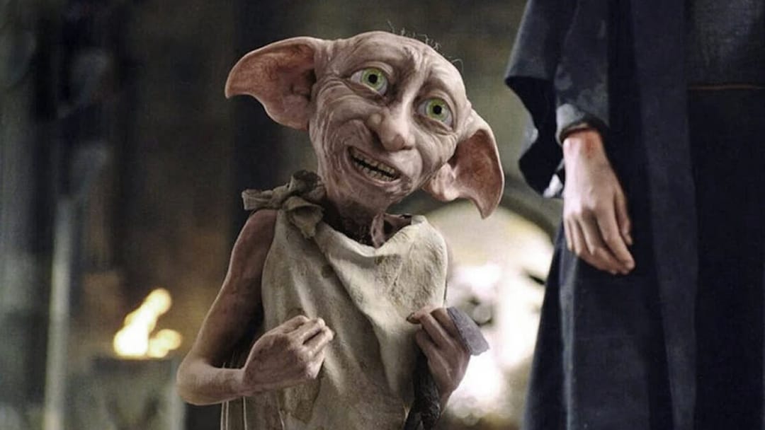 The number of socks brought to "Dobby's grave" causes concern among environmentalists