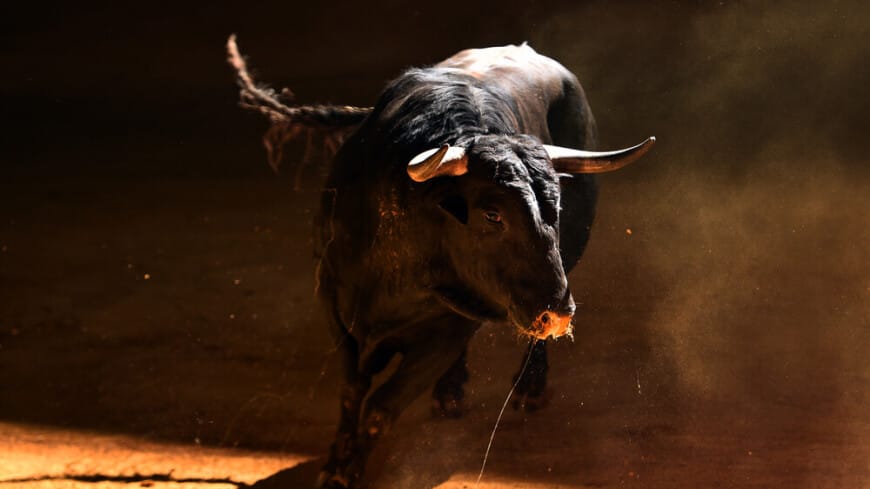 В один из банков Израиля ворвался разъяренный бык 