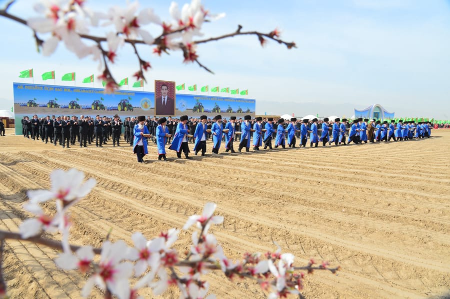 Türkmenistanyň 4 welaýatynda gowaça ekişine girişildi