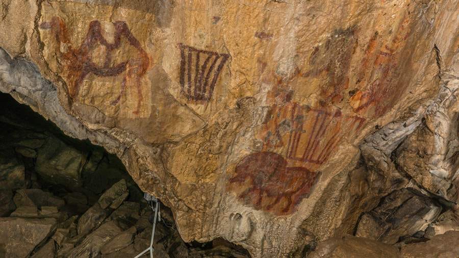 Başgyrt gowagy ÝUNESKO-nyň Bütindünýä mirasynyň sanawyna girizildi