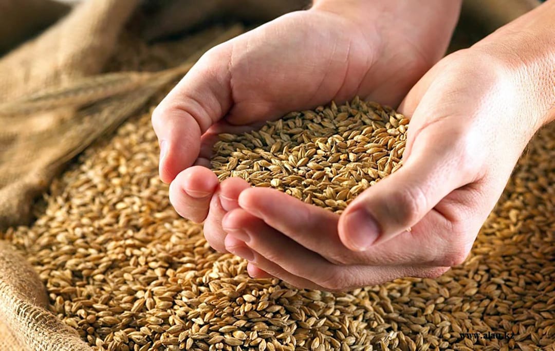 Serdardaky kärhanada geçen ýyl 3831 tonna un meýilnamadan artyk öndürildi