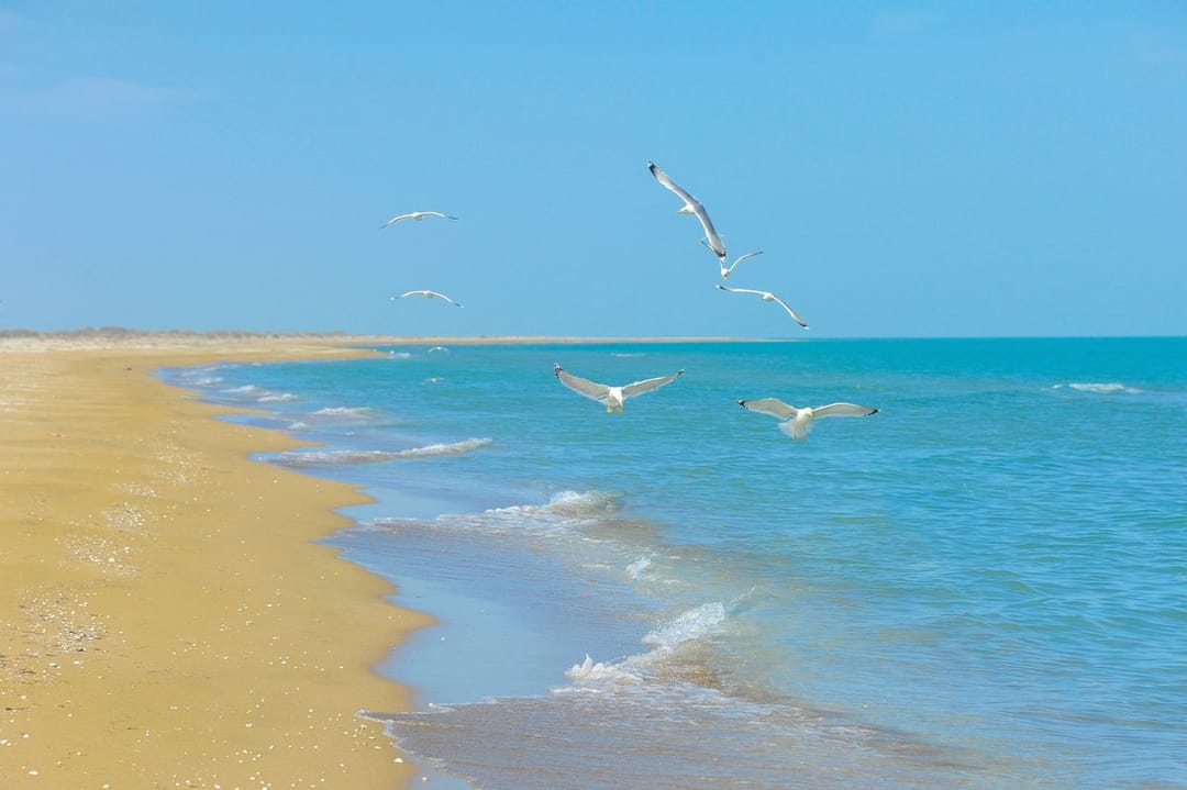 Президент Туркменистана поручил рассмотреть возможности подачи воды из Каспийского моря в Ашхабад