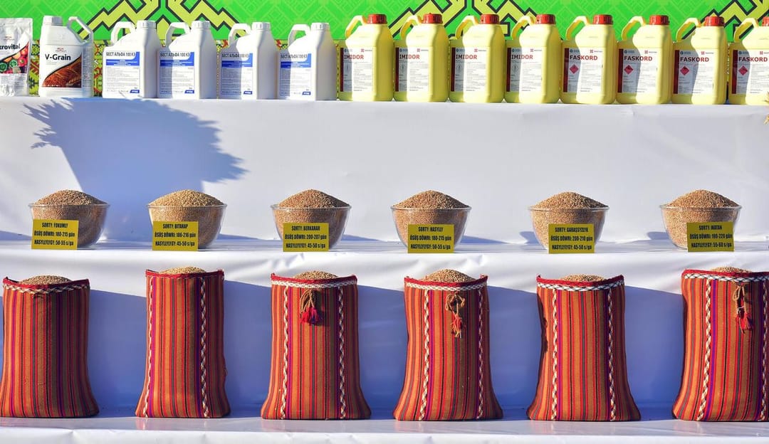 Türkmenistana Russiýadan bugdaýyň ýokary hasyl berýän sortlary uly mukdarda getirilýär